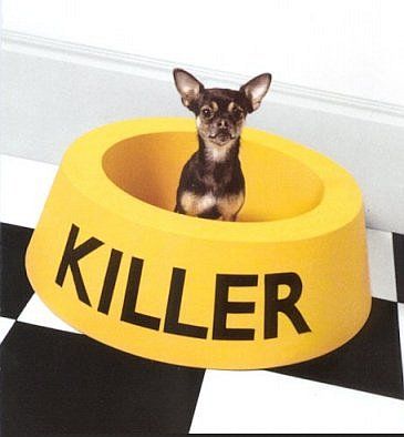 killer.jpg